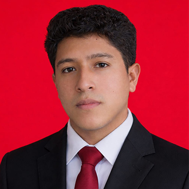 Director UE
